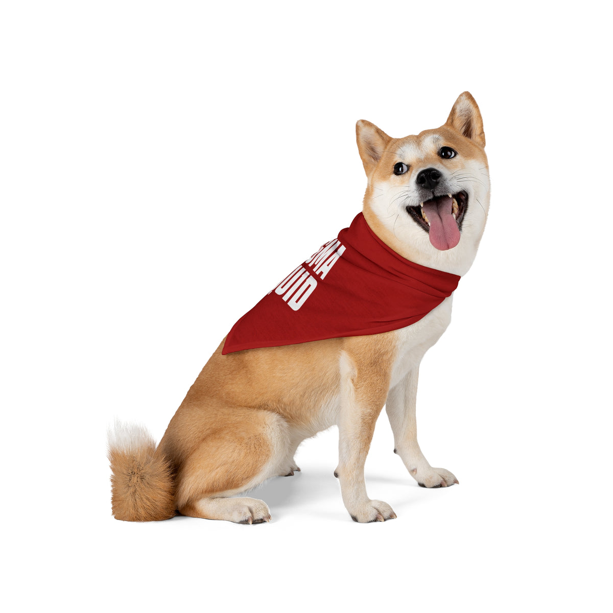 Magma Squid Red Pet Bandana — Bold Graphic Dog & Cat Accessory