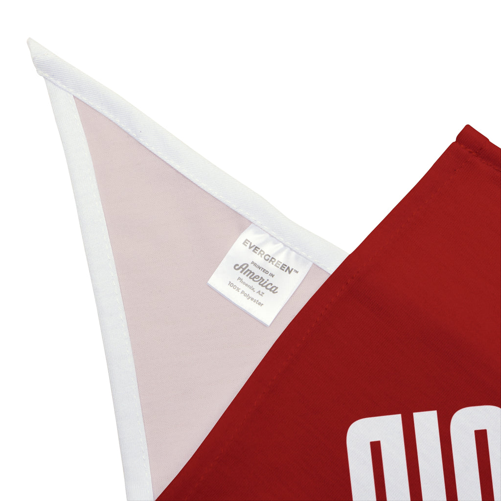 Magma Squid Red Pet Bandana — Bold Graphic Dog & Cat Accessory